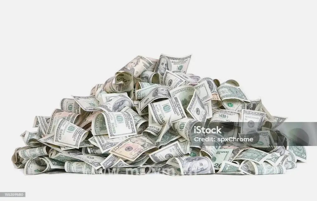 金融小白