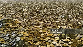 告别月光族！南宁还款姿势大揭秘：总有一款适合你！ poster